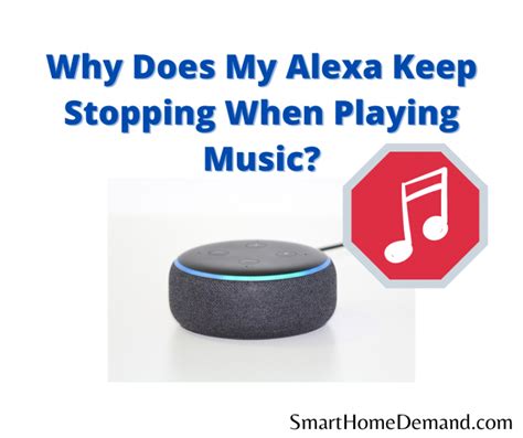 echo keeps stopping music|alexa not stopping playing music.